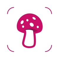 Mushroom Identifier - Fungi Id apk