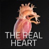 The Real Heart