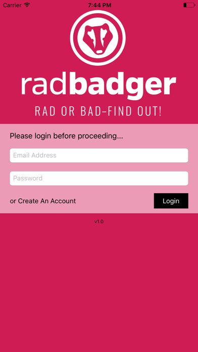 Rad Badger screenshot 2