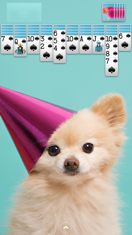 ⋆Spider Solitaire