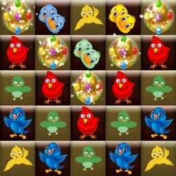 Match Birds Adventure