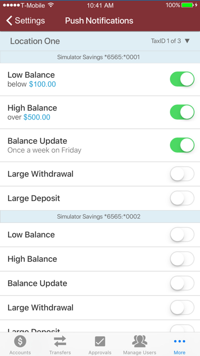 BankSouth Business Select screenshot 4