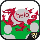 Learn Welsh SMART Guide