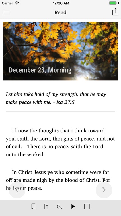 Daily Light Daily Path - Lite