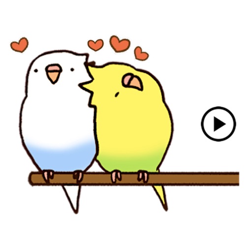 Animated Lovely Budgie Sticker icon