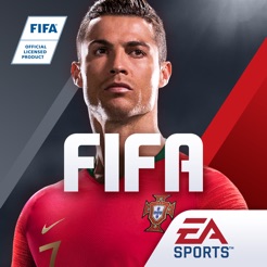 FIFA football: FIFA World Cup ™