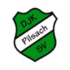 DJK/SV Pilsach