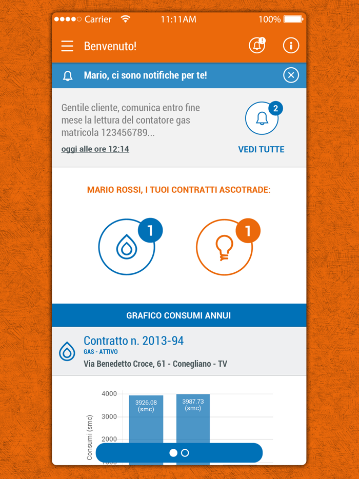 Bluemeta App gas e luce