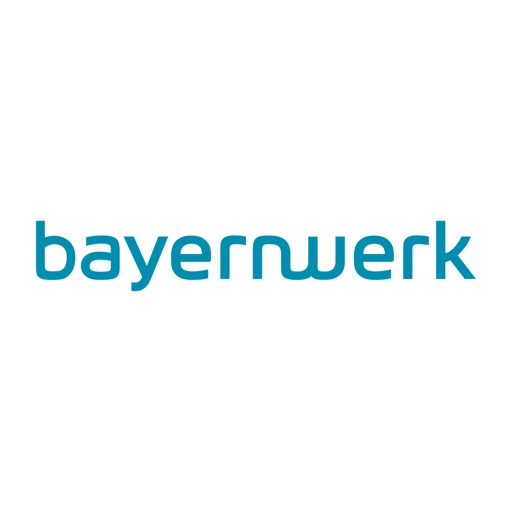 Bayernwerk Netz