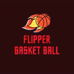 Flipper Basket Ball 2D