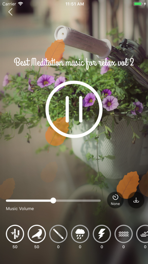 Relax Music - best meditation(圖4)-速報App