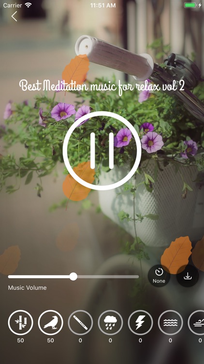 Relax Music - best meditation screenshot-3