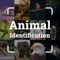 Instantly identify animals