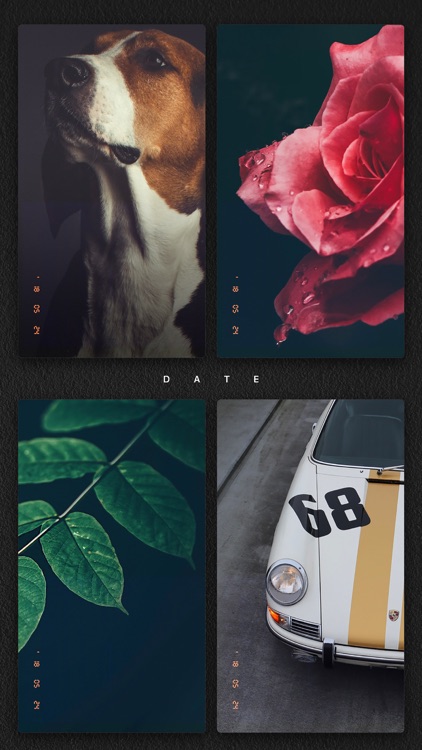 nomo cam - instant film camera