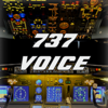 macremer - 737 Voice - Aural Warnings アートワーク