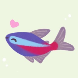 Happy tropical fish (taster)