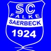 Falke Saerbeck