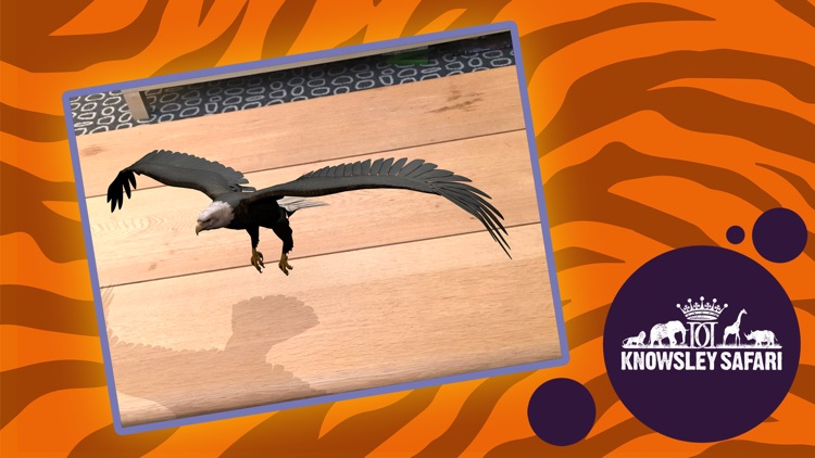 AR Safari by Knowsley screenshot-3