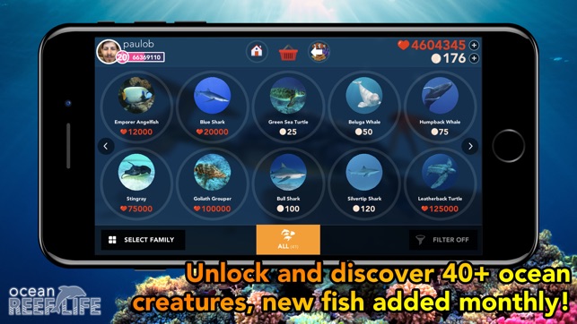 Ocean Reef Life - 3D Aquarium(圖4)-速報App