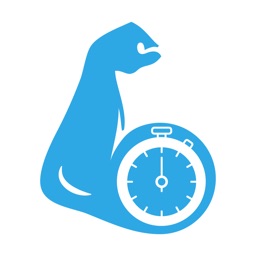 Gym Set Timer