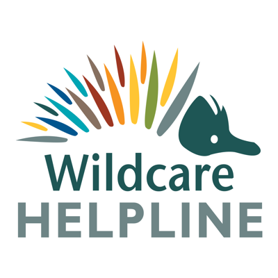 Wildcare Helpline