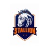 Stallion CF
