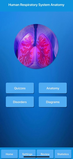 Respiratory System Anatomy(圖1)-速報App