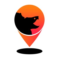 BlinkShare на пк