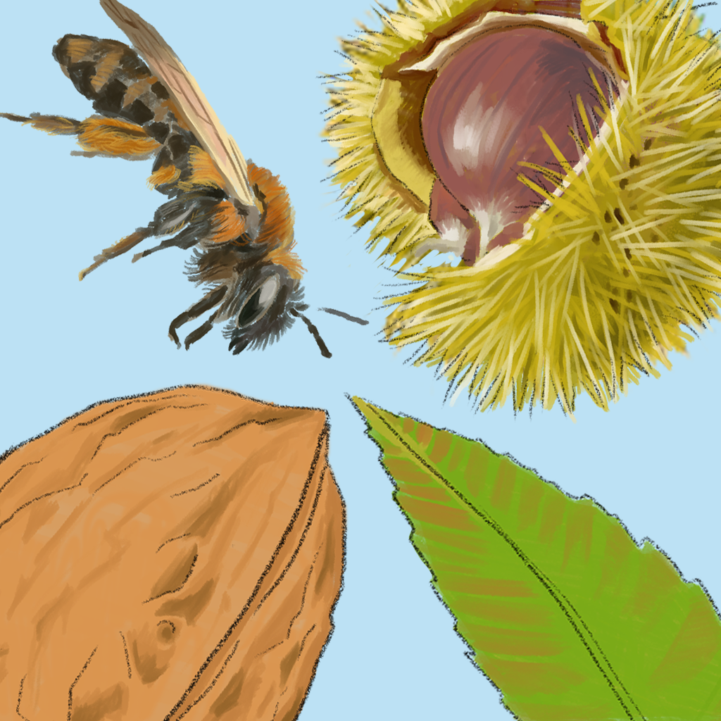 Get BIODIVERS for iOS, iPhone, iPad Aso Report