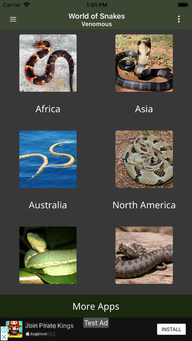 Amazing World Of Snakes screenshot 3