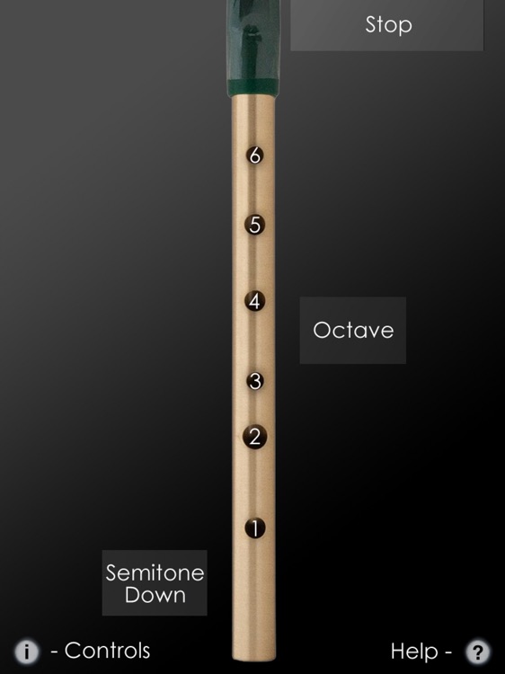 Tin Whistle Pro