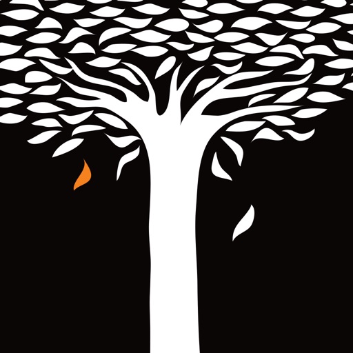 Double Double for iPad