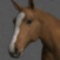 www