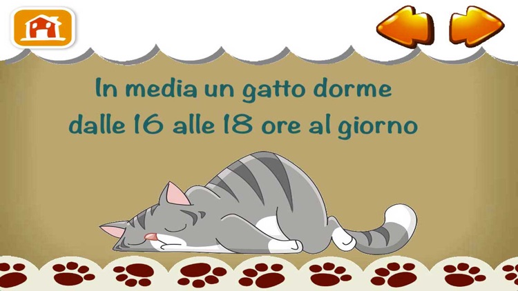 IoCreo Gattini 63703