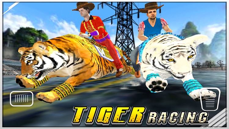 Tiger Racing : Simulator Race