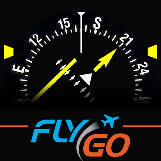 HSI (IFR) Instructor by FlyGo