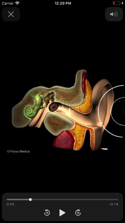 Otolaryngology screenshot-3