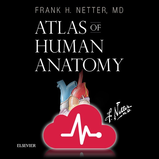 netter human anatomy atlas