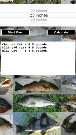 Fishing Scale(圖2)-速報App