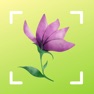 Get Flower identification - garten for iOS, iPhone, iPad Aso Report