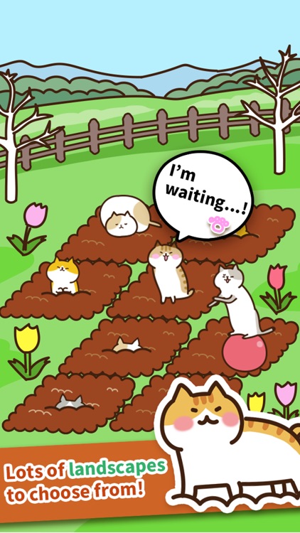 Field of Cats screenshot-4