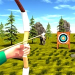 Archer Skill Shooter Challeng