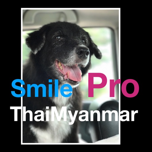 SmileThaiMyanmarPro Download