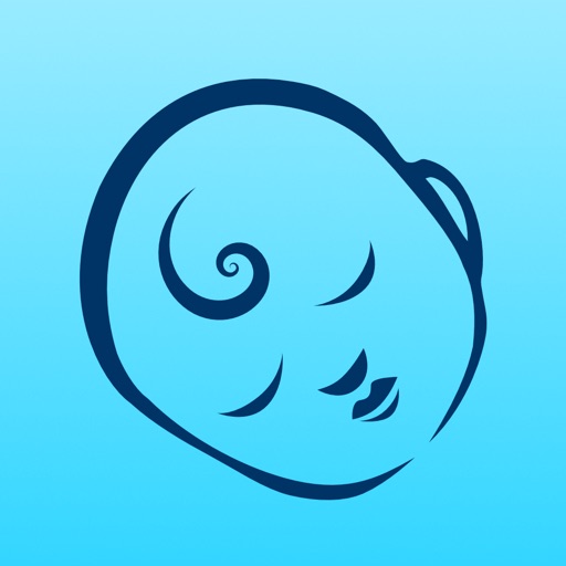 Safe Baby Monitor Pro Icon