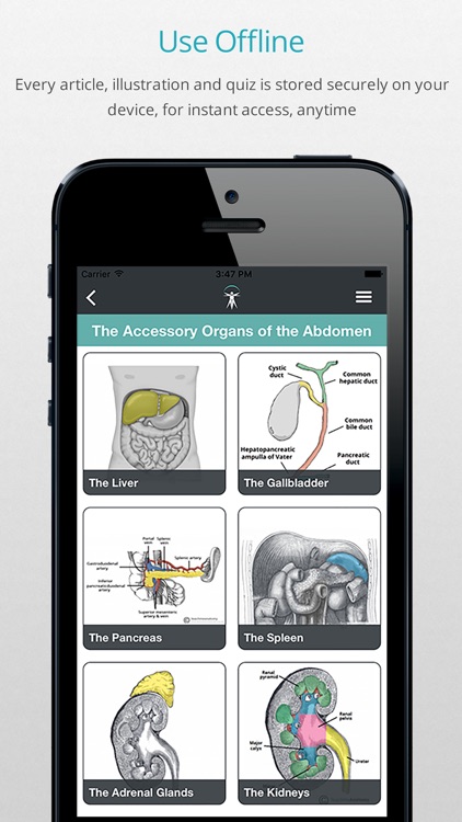 Teach Me Anatomy screenshot-3