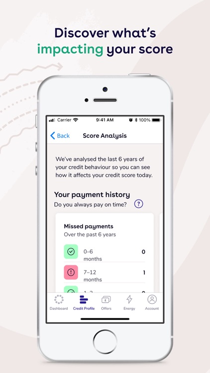 TotallyMoney - Credit Report