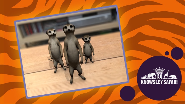 AR Safari by Knowsley