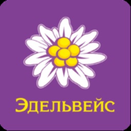 Эдельвейс