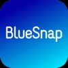 BlueSnap Inc.
