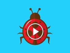 Activities of Crawly Bugs Animated Stickers